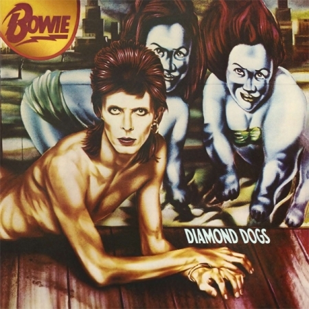 DAVID BOWIE - DIAMOND DOGS [50TH ANNIVERSARY EDITION] [PICTURE DISC] [수입] [LP/VINYL] 